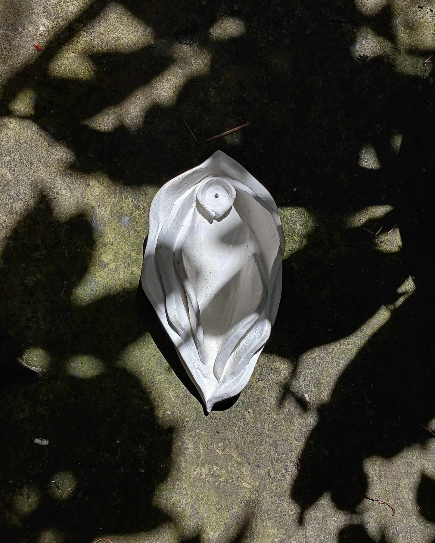 La Vulva