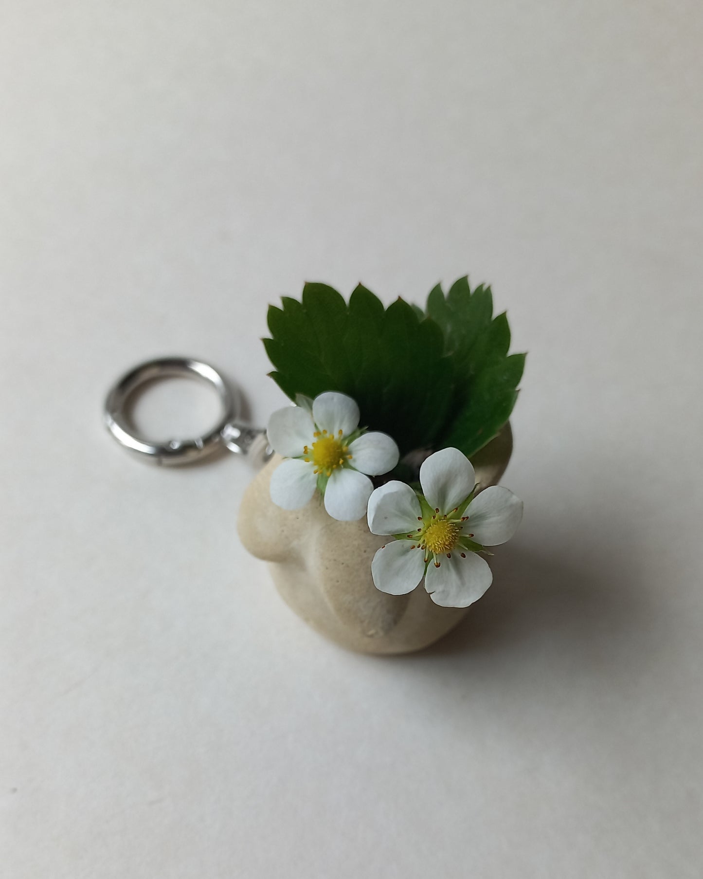 Leonor charm