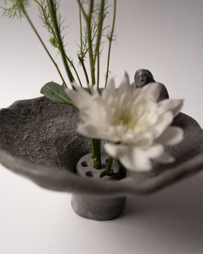 La Serena IV