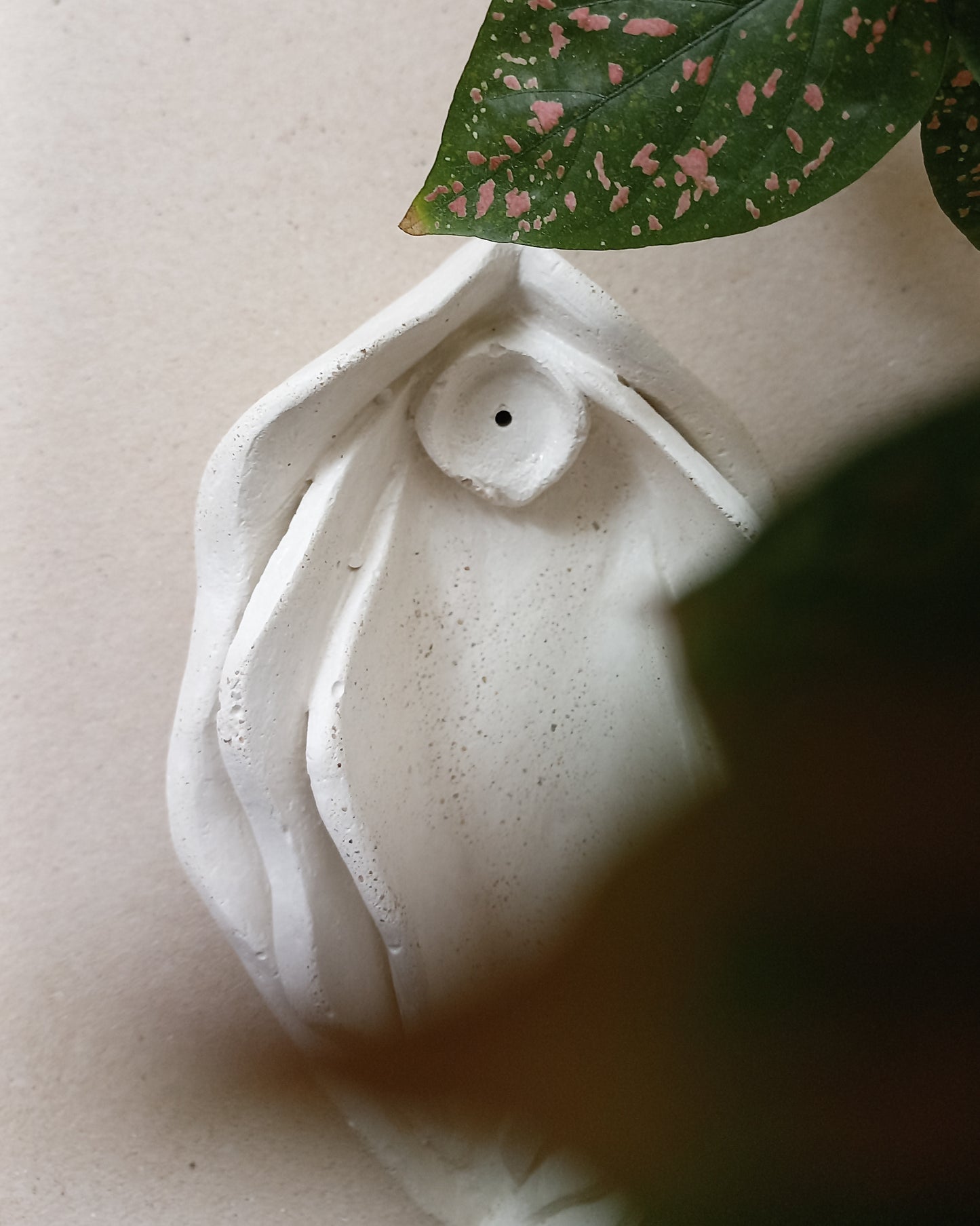 La Vulva