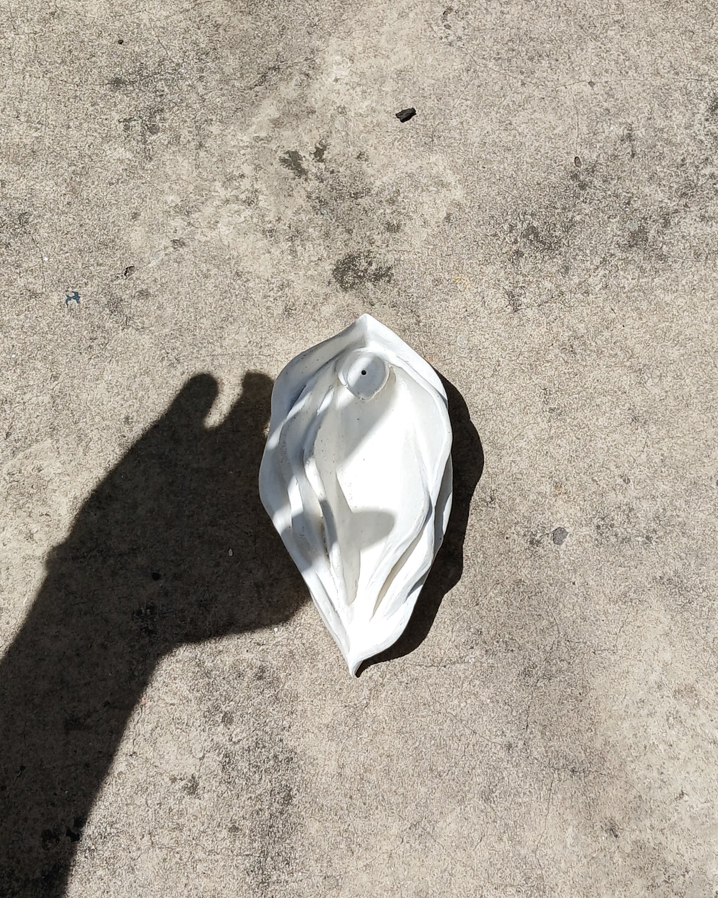 La Vulva