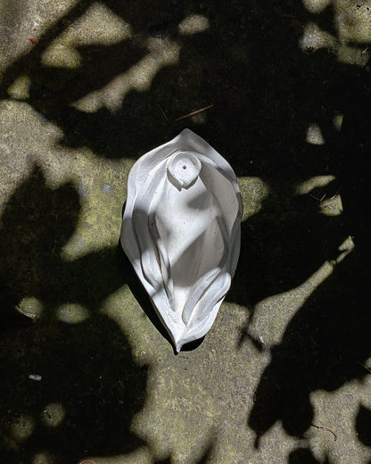 La Vulva
