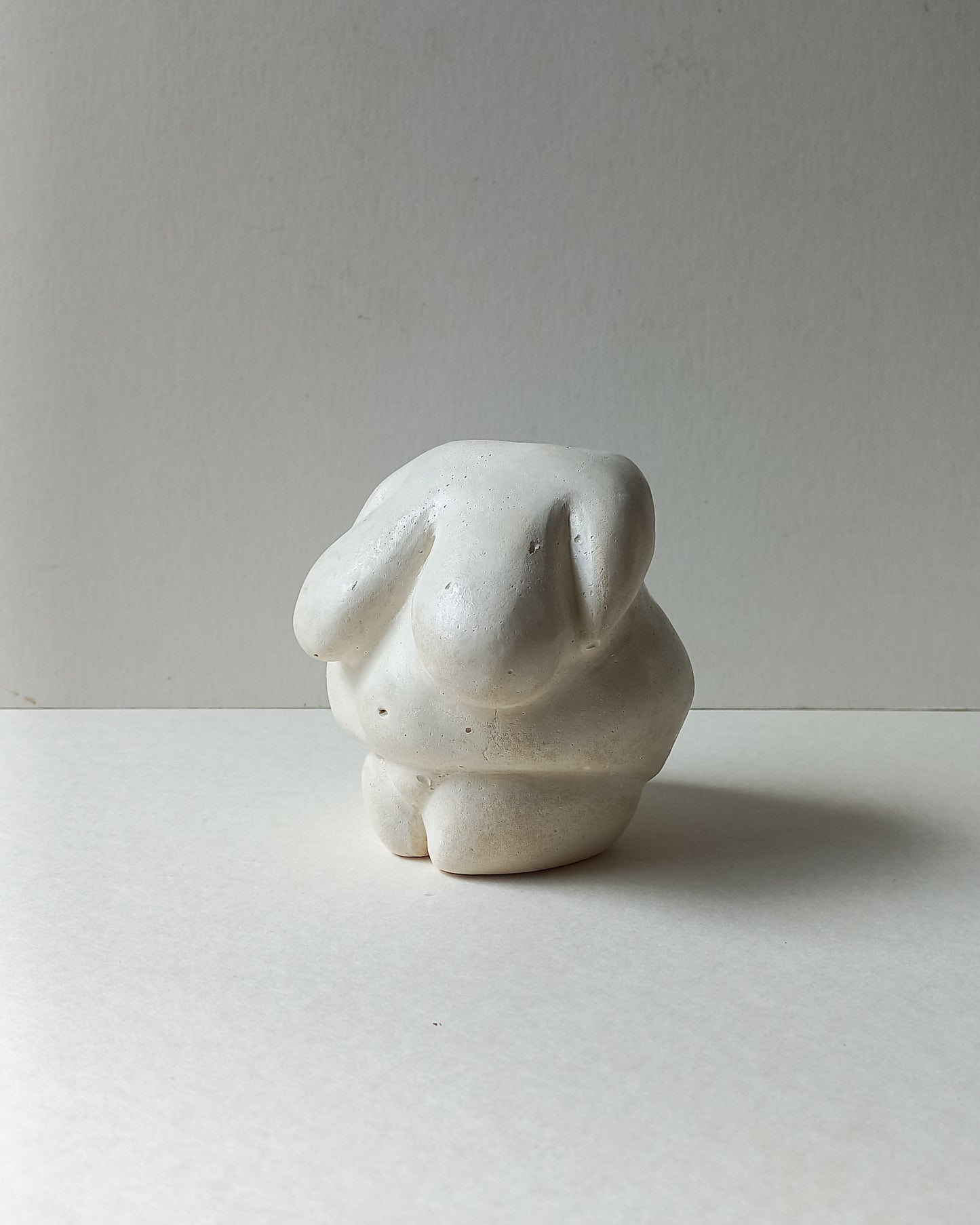 Venus I