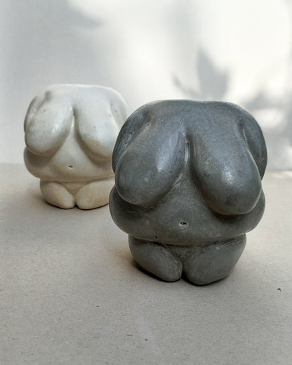 Venus I