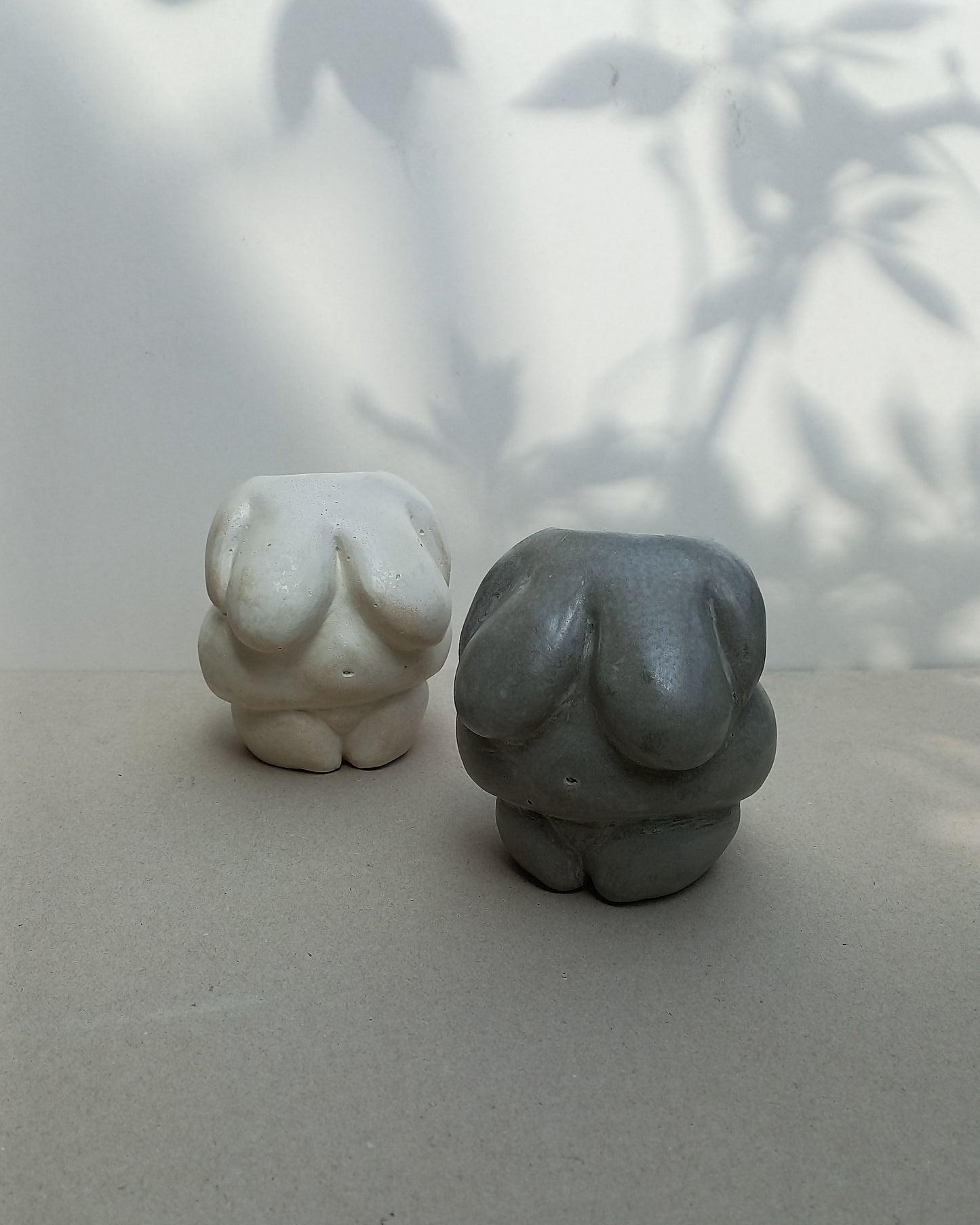 Venus I