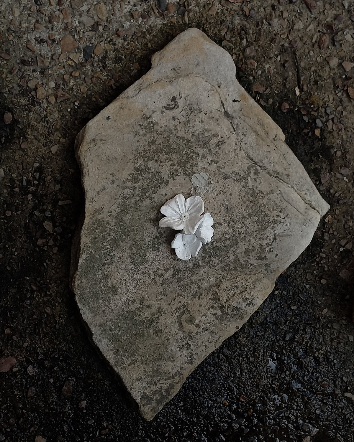 La Flor Portainciensos